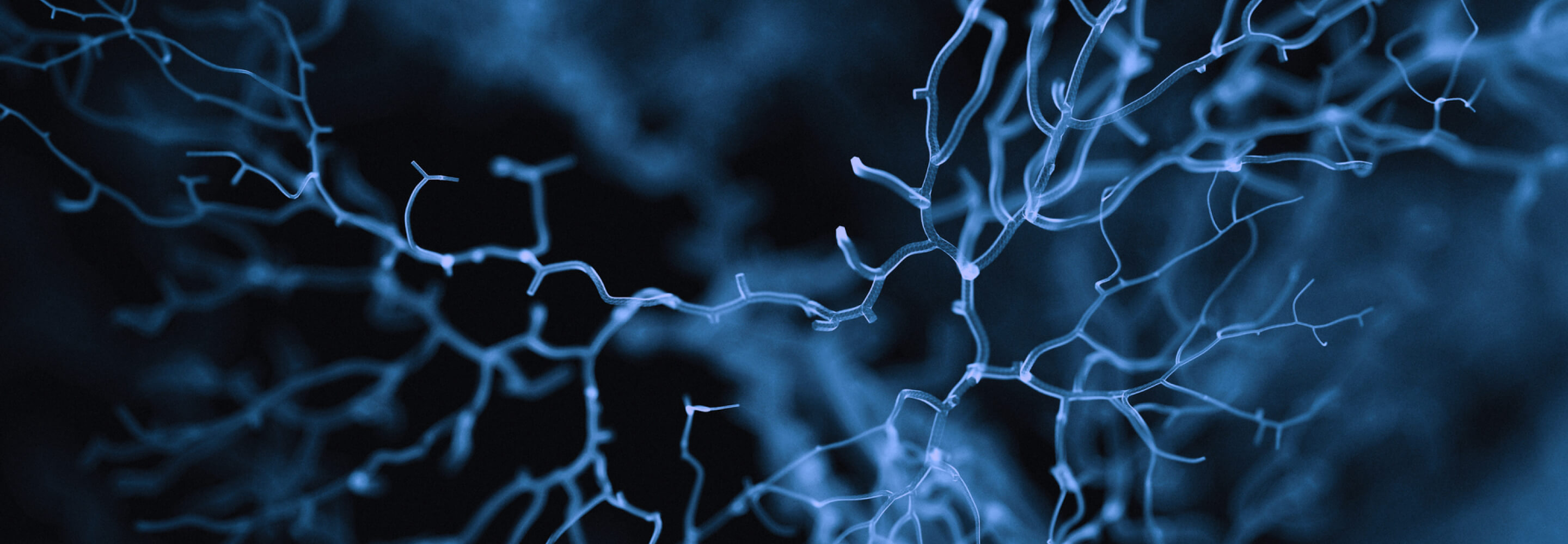 AI development for healthcare industry