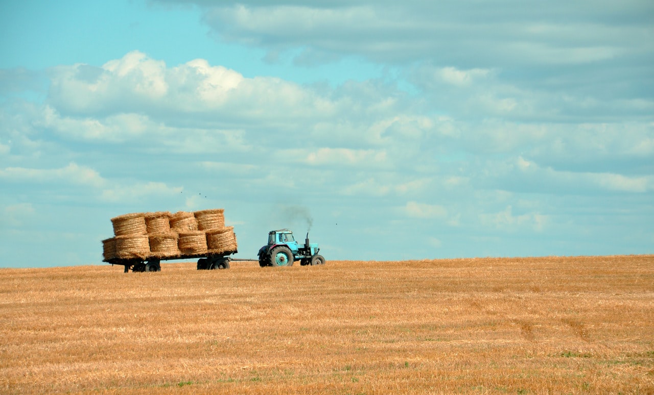 artificial intelligence in agriculture
