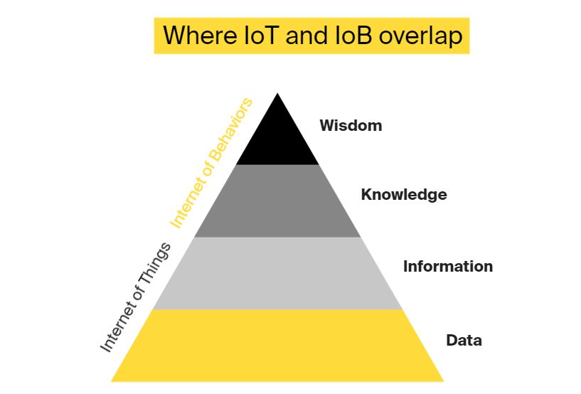 The correlation between IoT and IoB