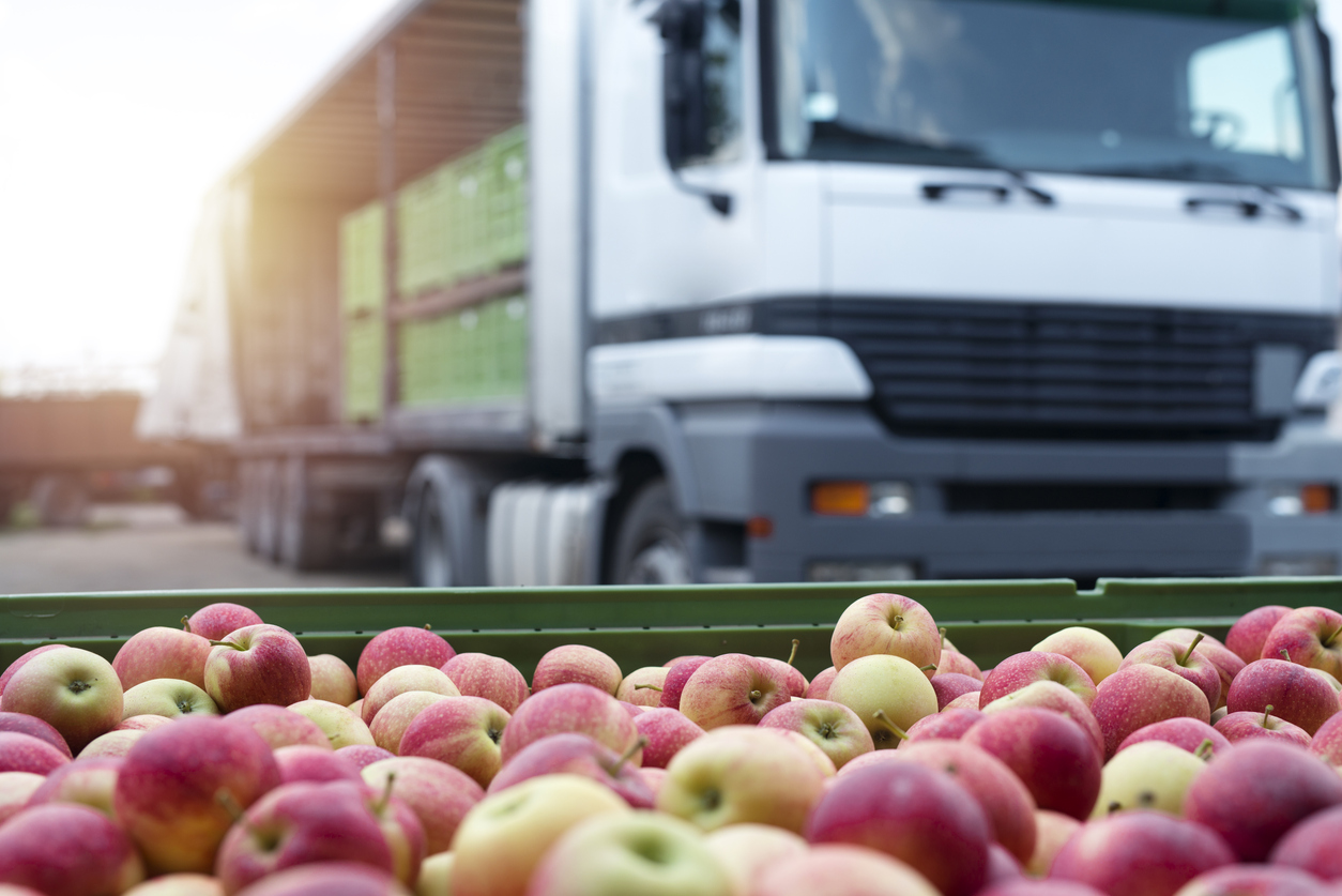 Business Intelligence Solution for a Food Supply Chain